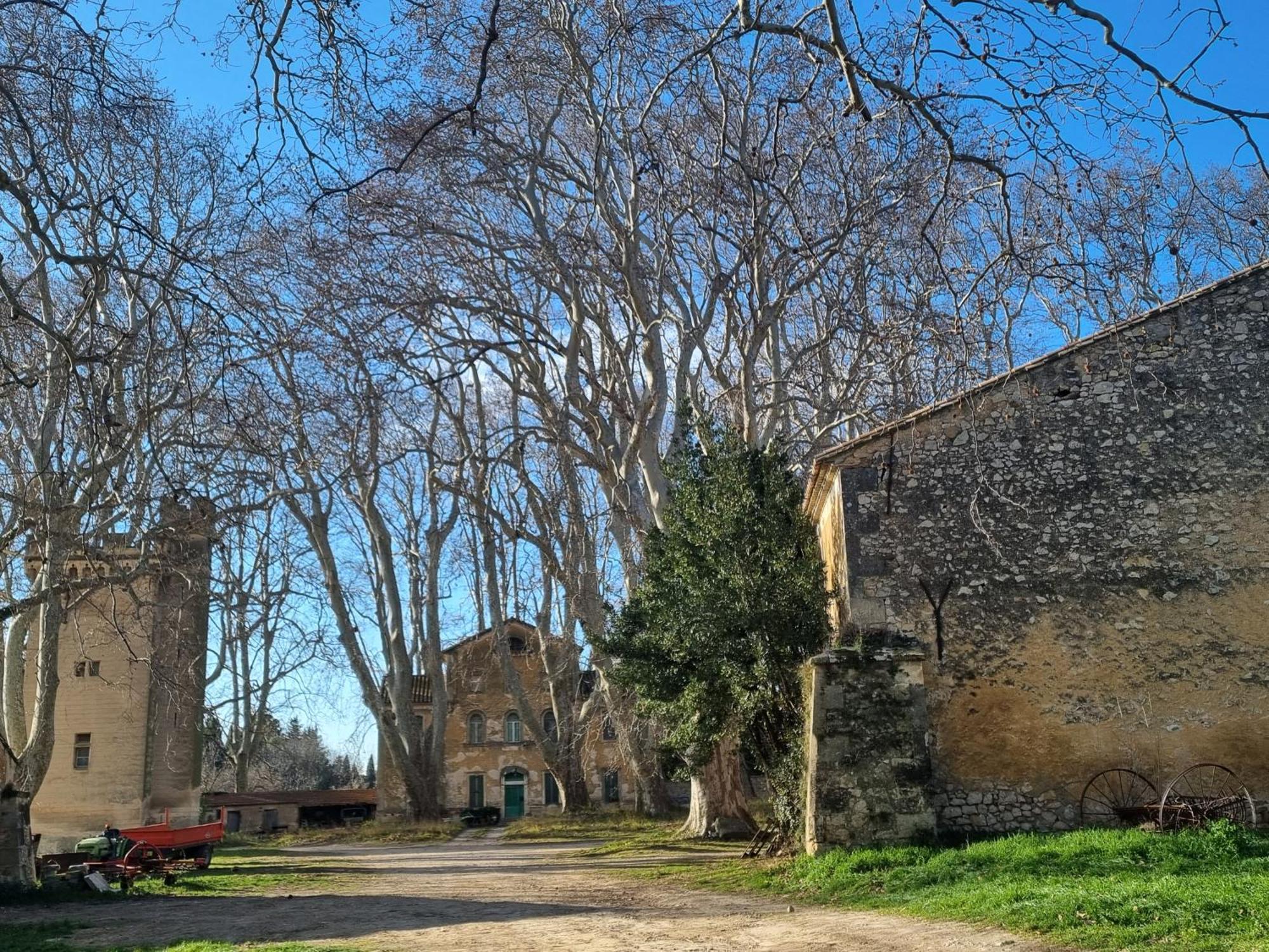 Les Garrigues De La Vallee Des Baux Paradou Exteriér fotografie