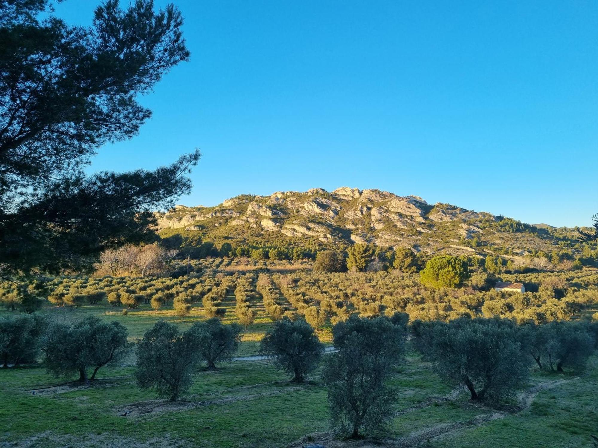 Les Garrigues De La Vallee Des Baux Paradou Exteriér fotografie