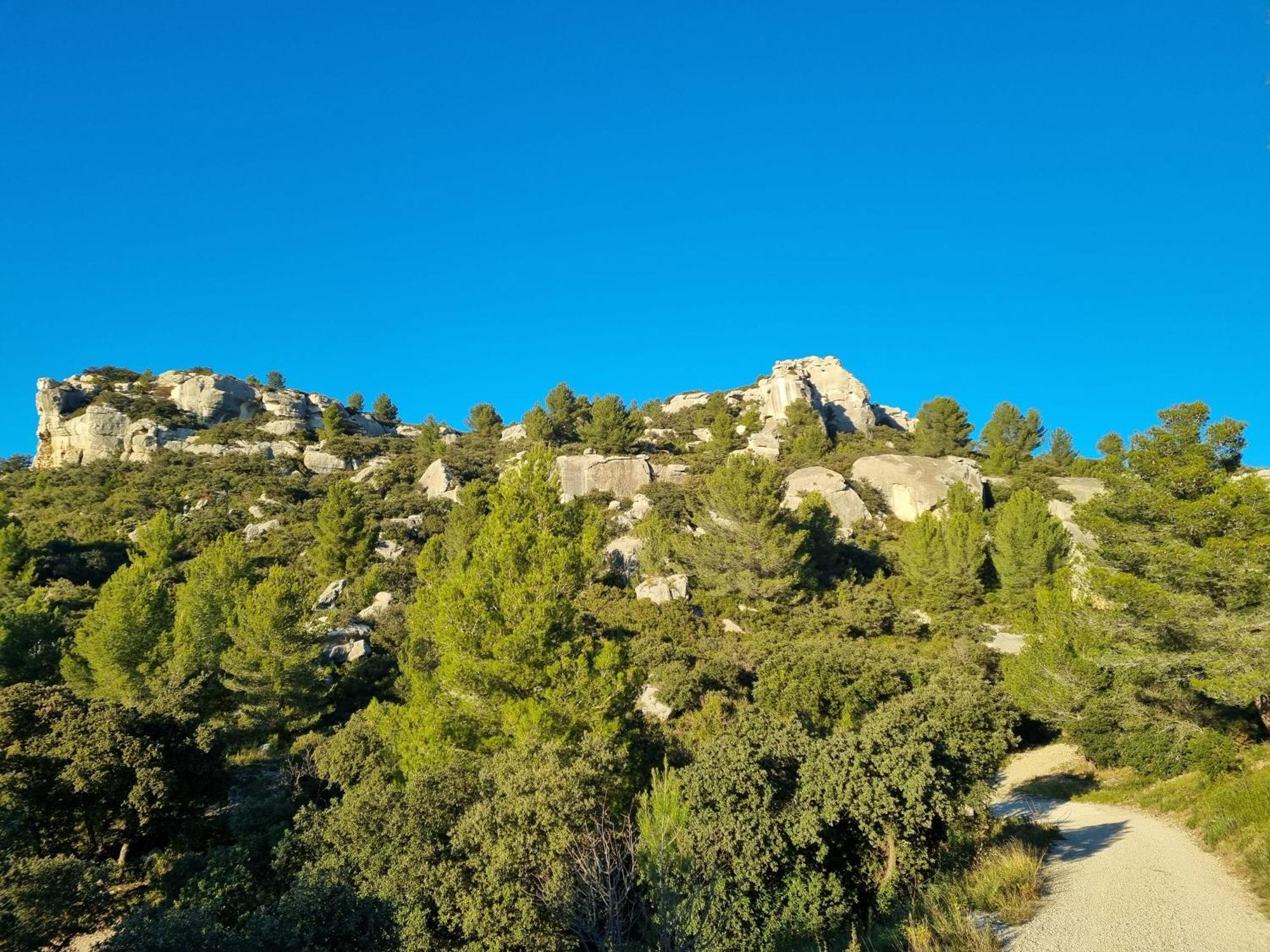 Les Garrigues De La Vallee Des Baux Paradou Exteriér fotografie